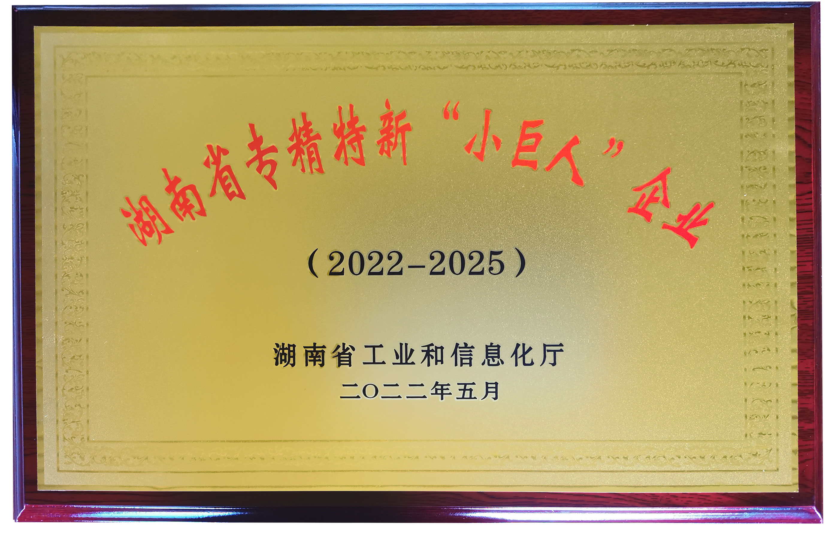 Lɳ섓(chung)ĩg(sh)޹˾J(rn)ʡ¡СˡI(y)